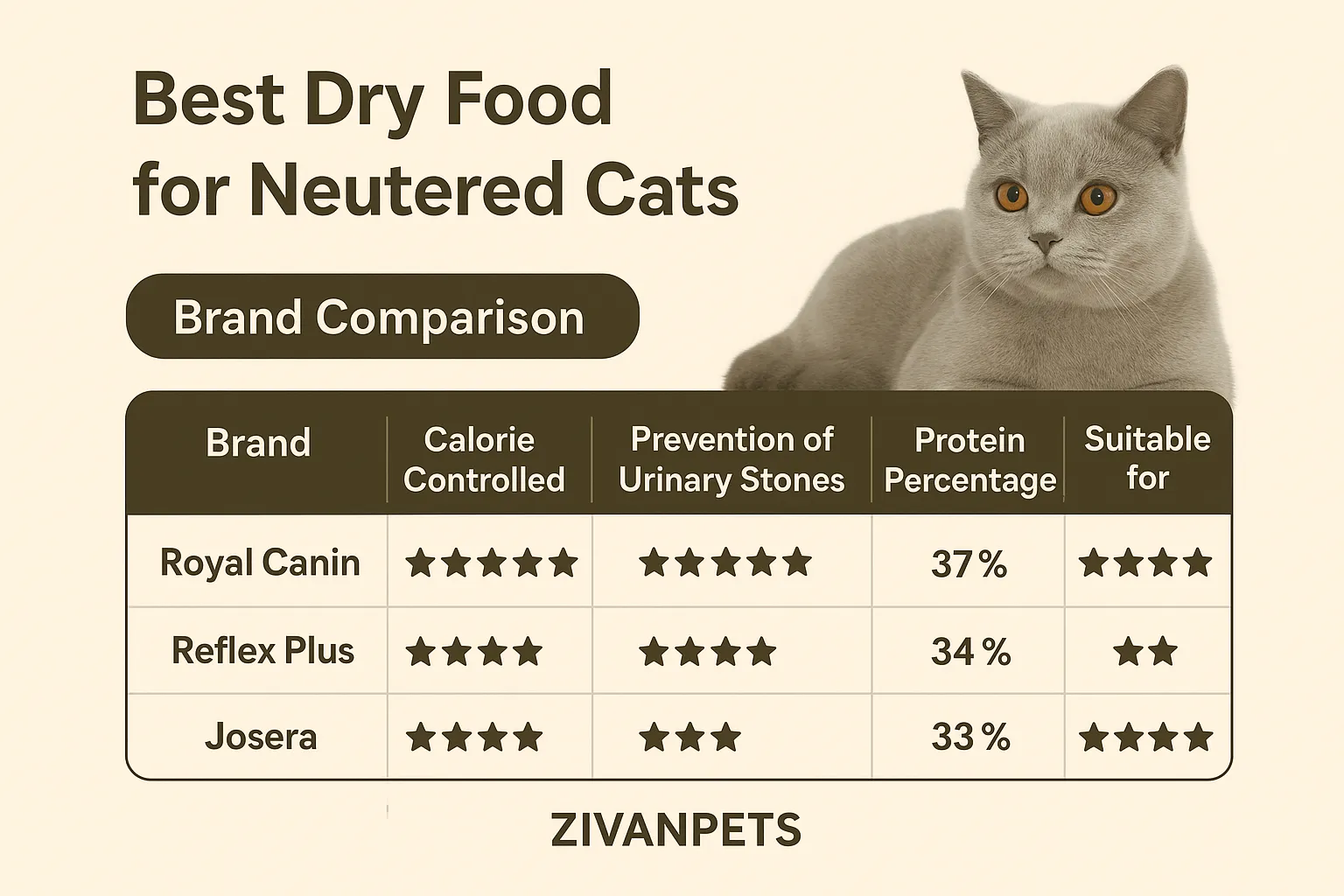 بهترین غذای خشک برای گربه‌های عقیم شده + مقایسه برندها